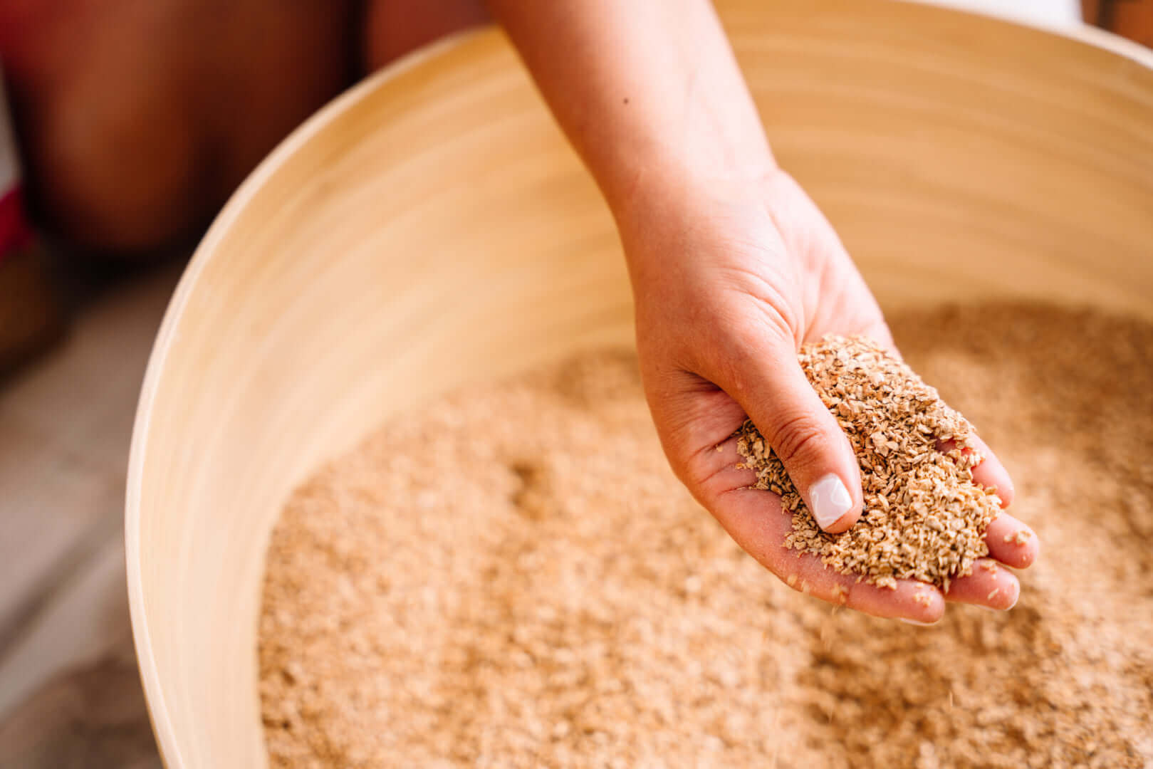 How to Transition Your Cat to ökocat Natural Cat Litter | Healthy Pet How to Transition Your Cat to ökocat Natural Cat Litter | Healthy Pet