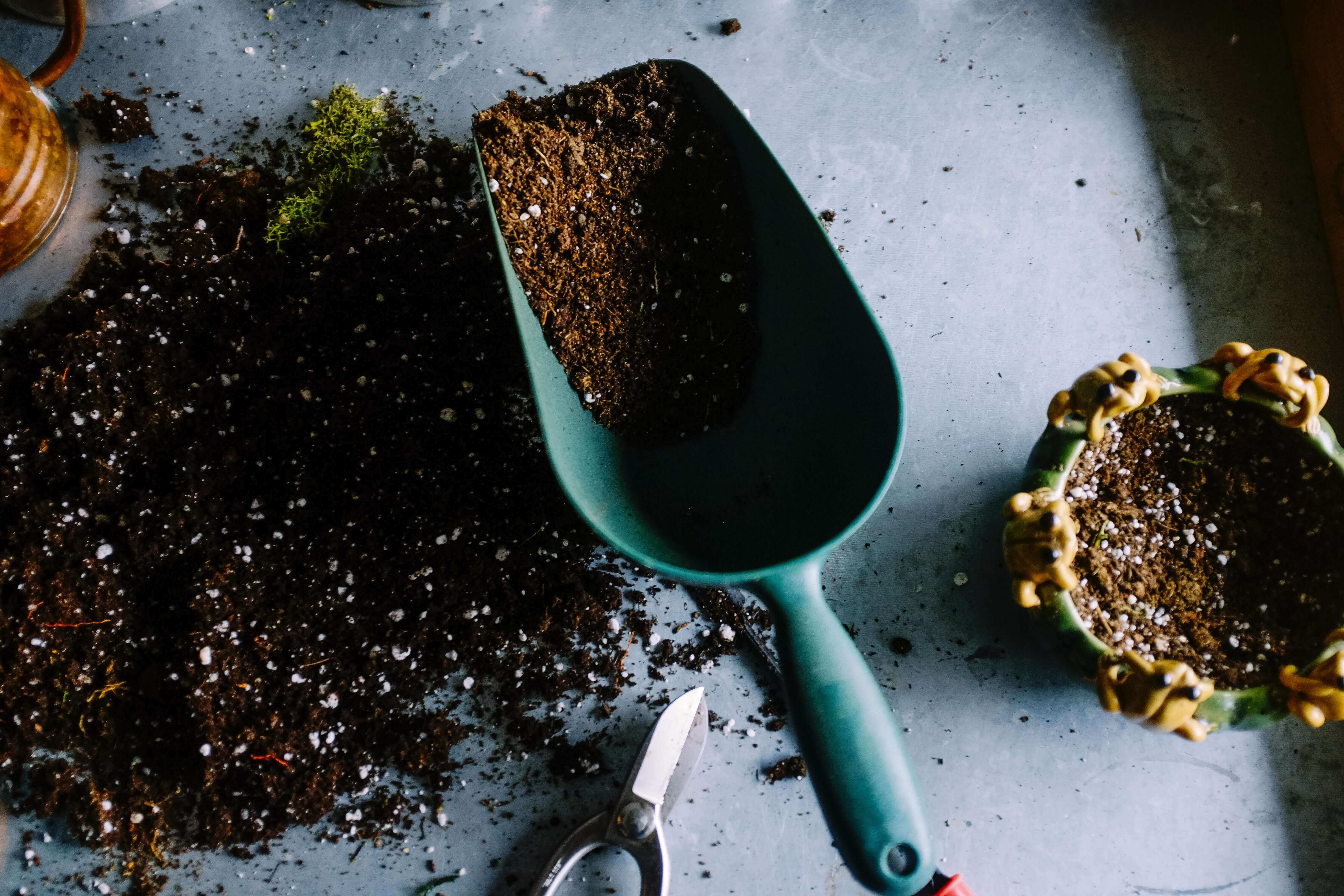 Don’t Throw It Out – How to Compost Natural Cat Litter and Bedding | Healthy Pet Don’t Throw It Out – How to Compost Natural Cat Litter and Bedding | Healthy Pet