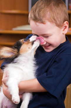 Top 5 Diseases You Can Catch from Your Dog Top 5 Diseases You Can Catch from Your Dog