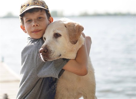 Losing a furry friend Losing a furry friend